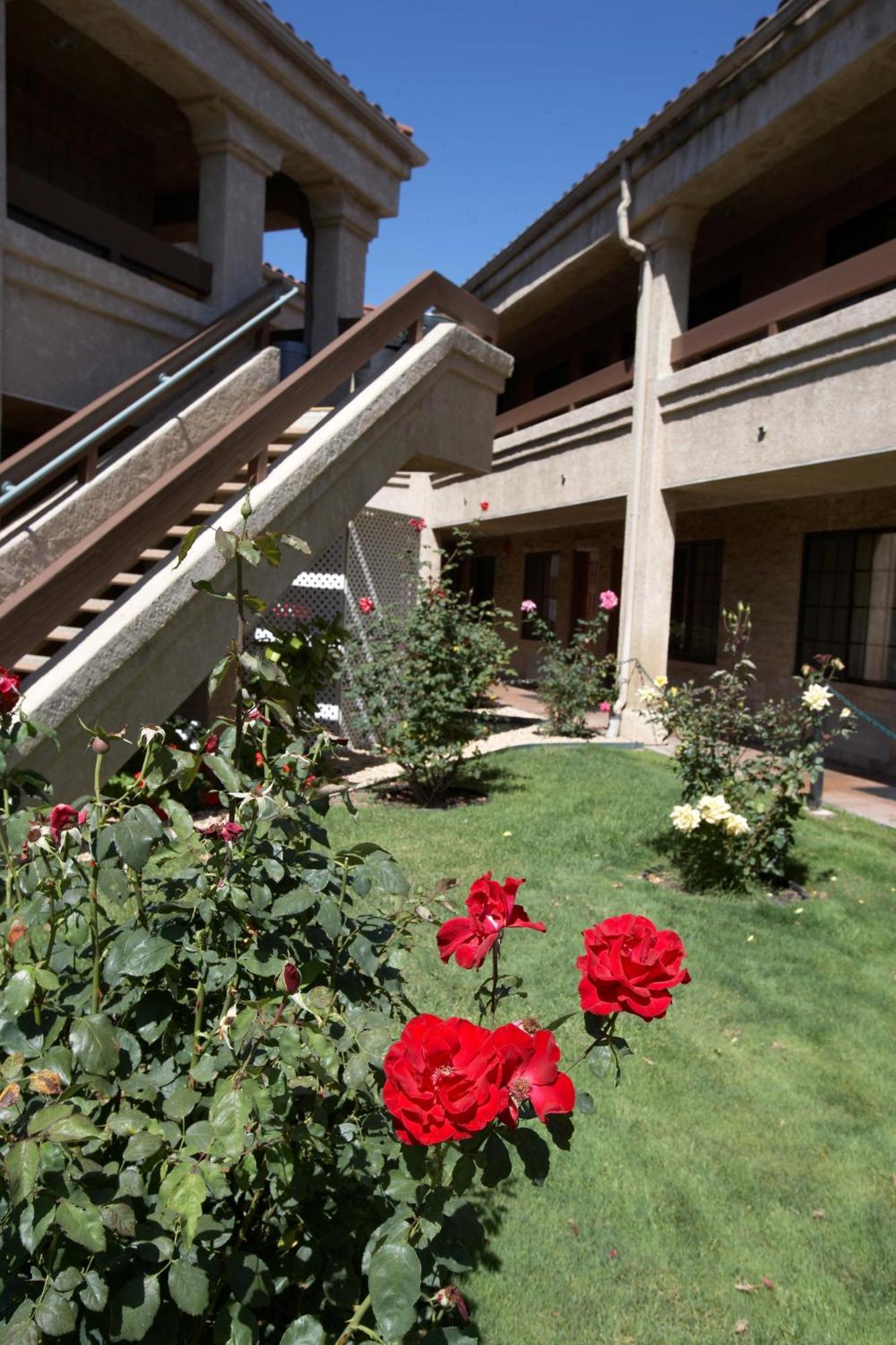 Premier Inns טאוזנד אוקס מראה חיצוני תמונה